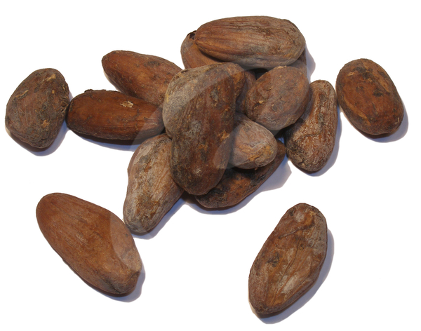 Cacao Bonen Biologisch